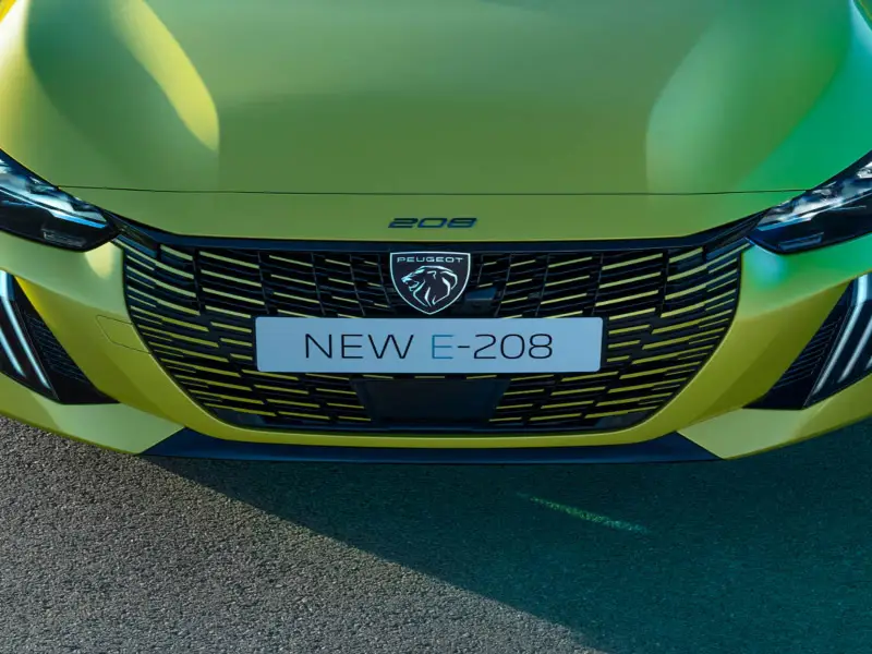 immagine galleria promozione